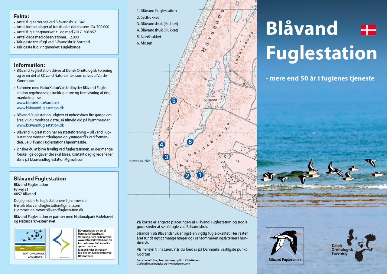 Blaavand Fuglestation Folder 1280