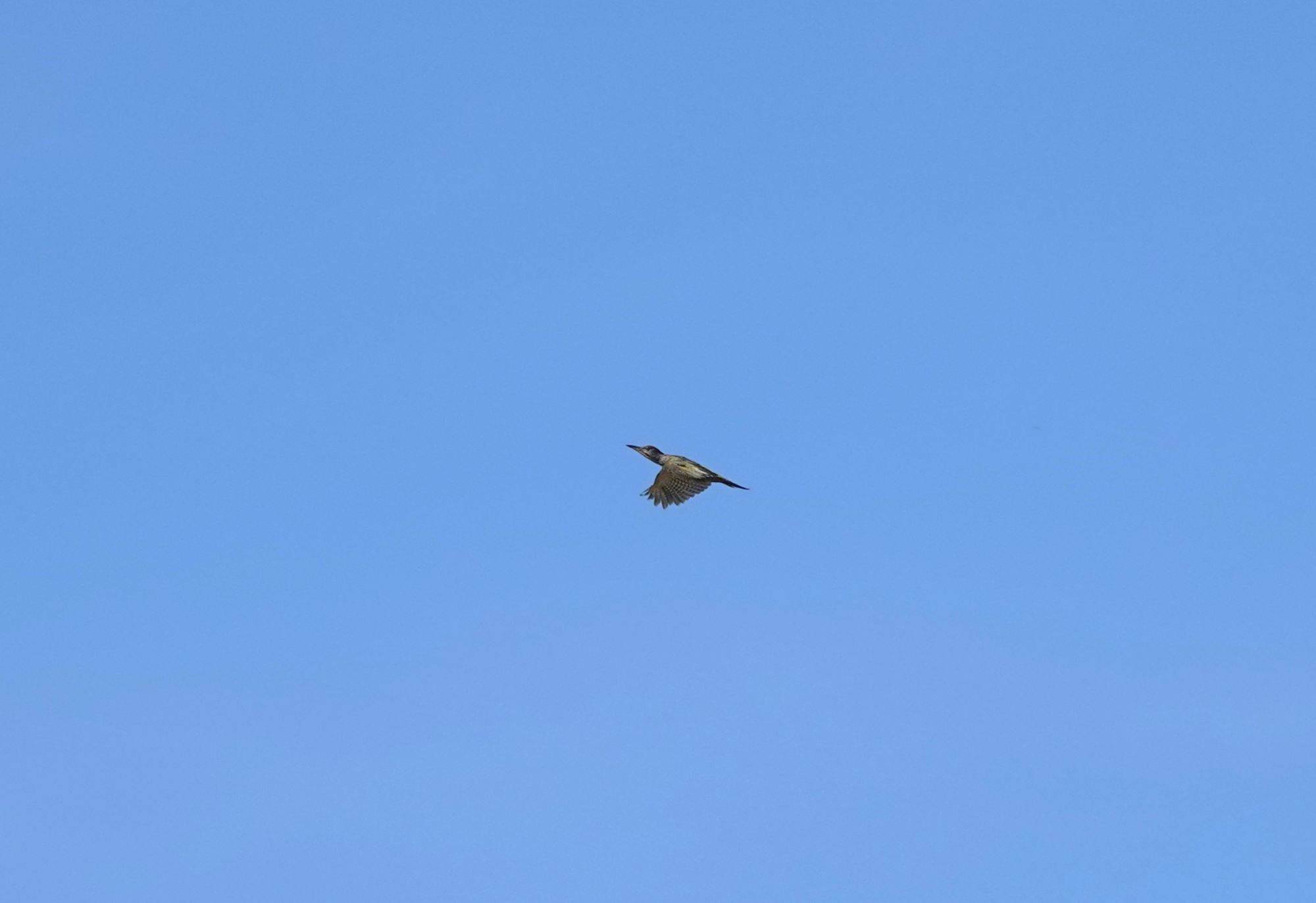 DSC08697