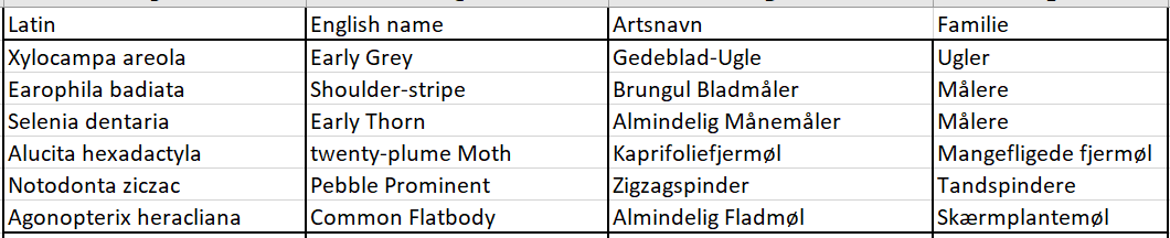 moth1 28042026