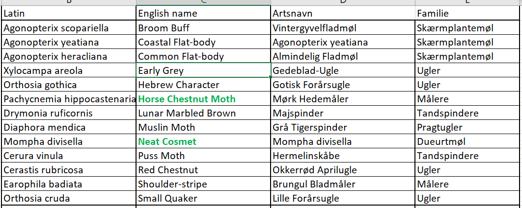 mothtable 30042026